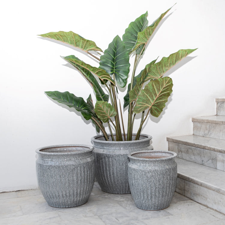 POTS & PLANTERS
