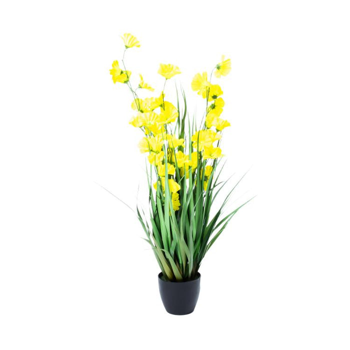 LONGJIN-36" MORNING GLORY YELLOW (413252248)