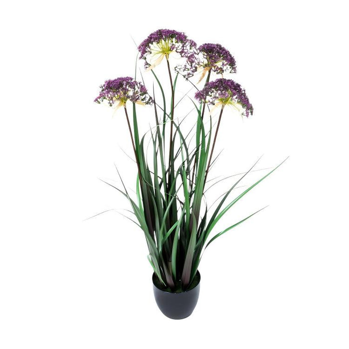 LONGJIN-36" ANGELICA GRASS PURPLE (413252236)