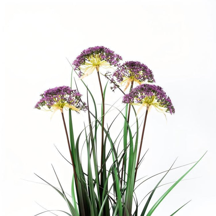 LONGJIN-36" ANGELICA GRASS PURPLE (413252236)