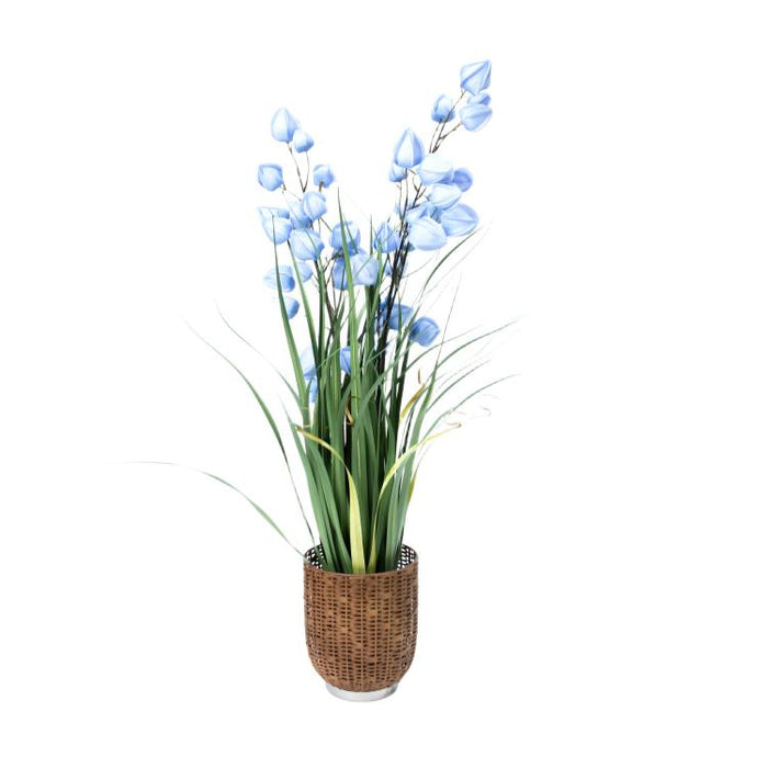 LONGJIN-36" PHYSALIS LIGHT BLUE (413252245)