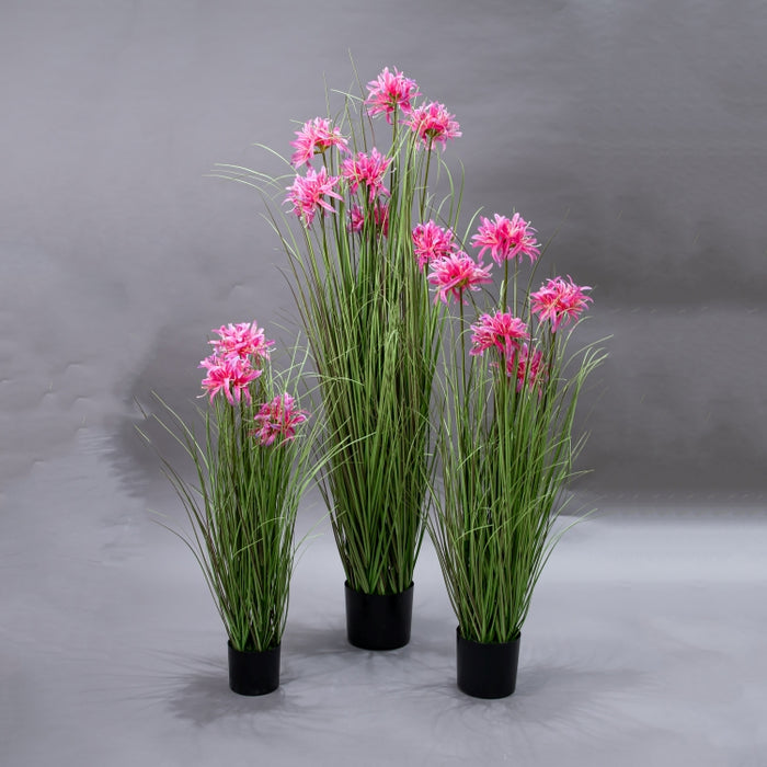 LONGJN-120CM PINK MAGIC LILY GRASS (413252192)