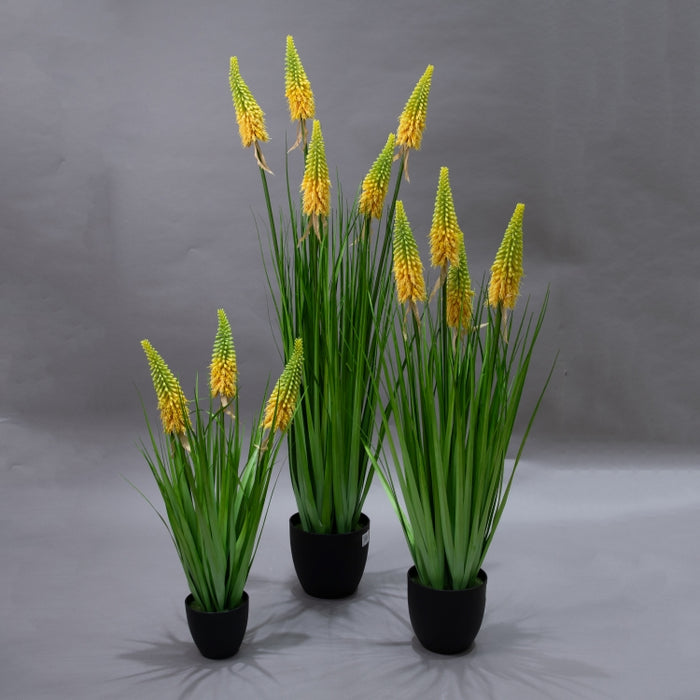 LONGJIN-90CM TORCH LILY GRS GRN (413252212)
