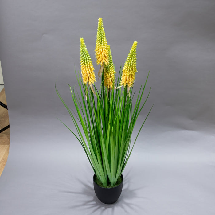 LONGJIN-90CM TORCH LILY GRS GRN (413252212)