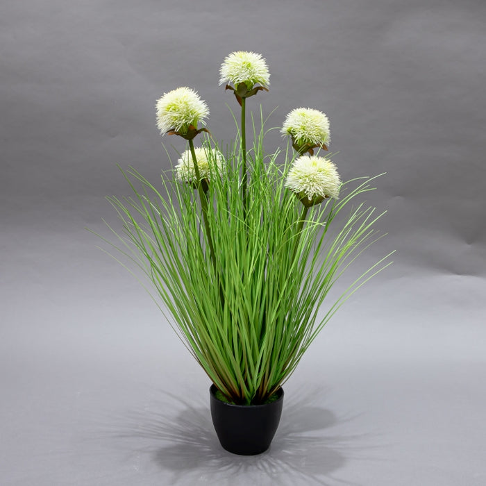 LONGJIN-60CM SUNFLOWER GRASS WHITE (413252214)