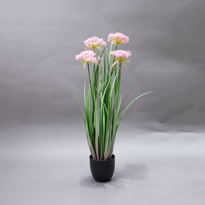LONGJIN-90CM ANGELICA GRASS PINK (413252202)