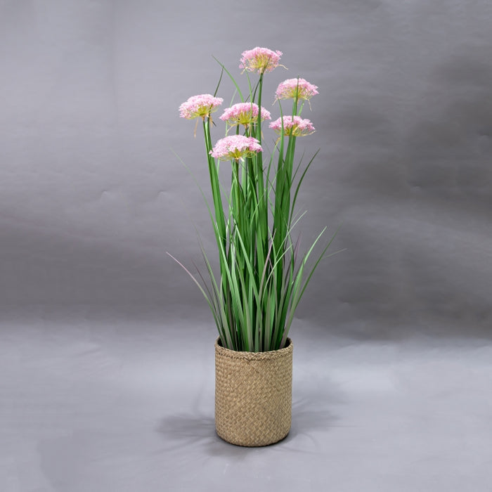 LONGJIN-120CM ANGELICA GRASS PNK (413252203)