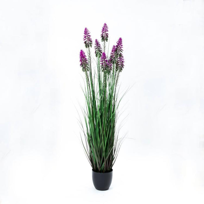 LONGJIN-48" FLOWER GRASS PURPLE (413252234)