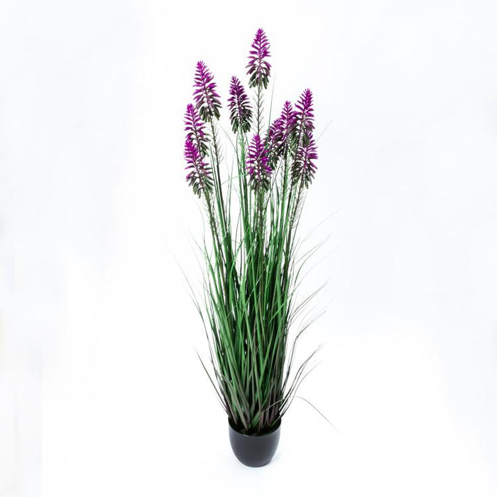LONGJIN-48" FLOWER GRASS PURPLE (413252234)