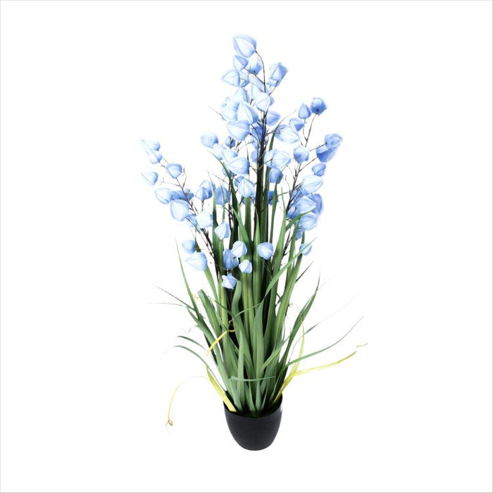 LONGJIBN-48" PHYSALIS LIGHT BLUE (413252246)