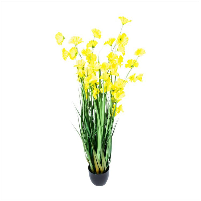 LONGJIN-48" MORNING GLORY YELLOW (413252249)