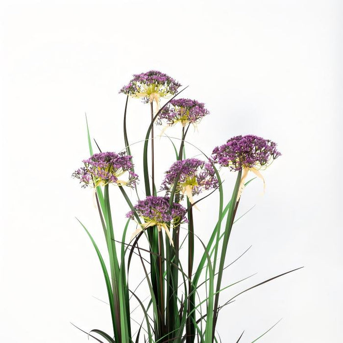 LONGJIN-48" ANGELICA GRASS PURPLE (413252237)
