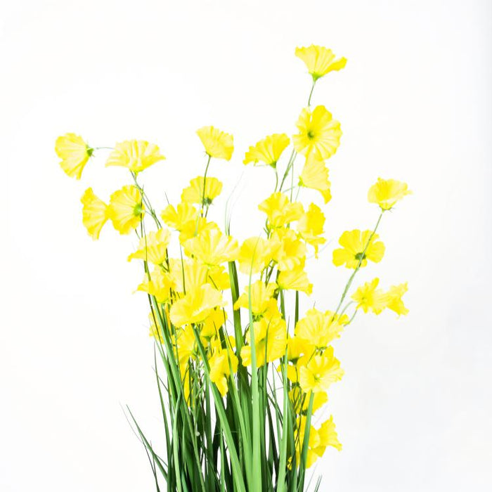 LONGJIN-48" MORNING GLORY YELLOW (413252249)