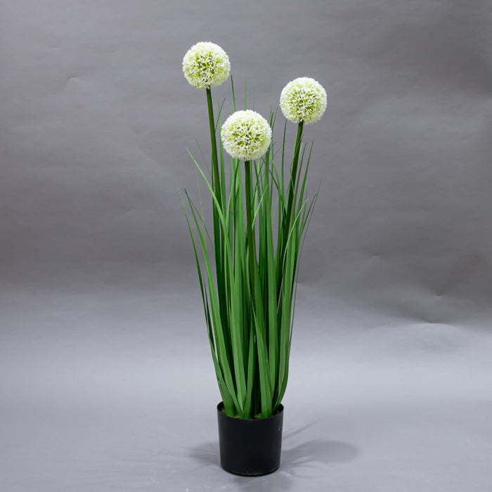 LONGJIN-80CM ALLIUM GRASS GREEN (413252199)