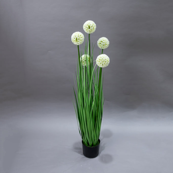 LONGJIN-110CM ALLIUM GRASS GREEN (413252200)