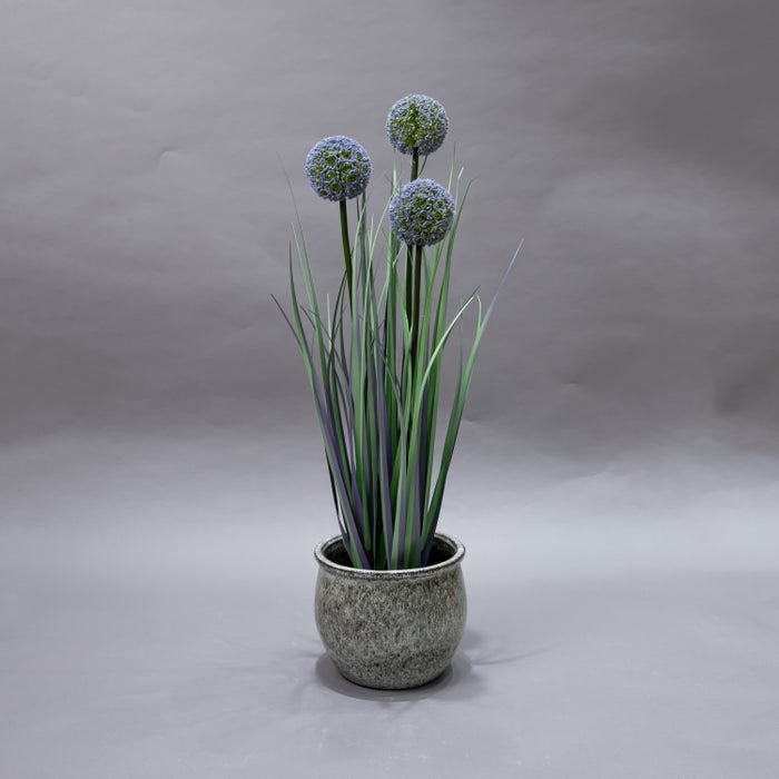 LONGJIN-80CM ALLIUM GRASS PURPLE (413252196)