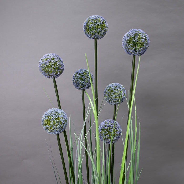 LONGJIN-140CM ALLIUM GRASS PURPLE (413252198)