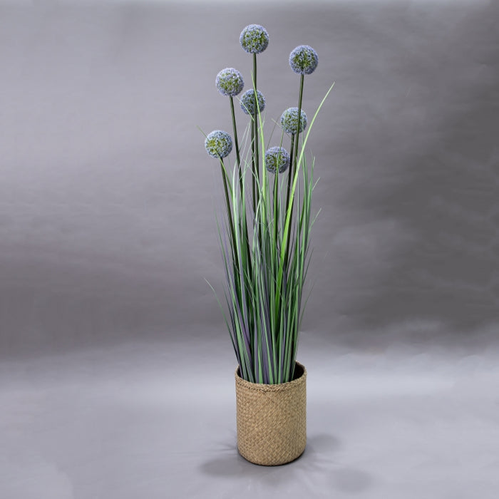 LONGJIN-140CM ALLIUM GRASS PURPLE (413252198)