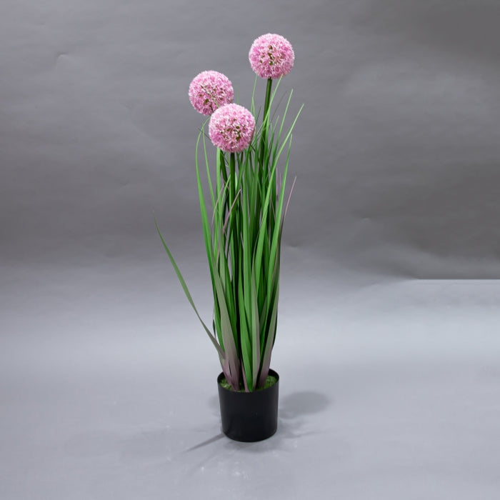 LONGJIN-80CM ALLIUM GRASS PINK (413252193)