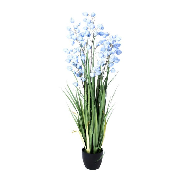 LONGJIN-60" PHYSALIS LIGHT BLUE (413252247)