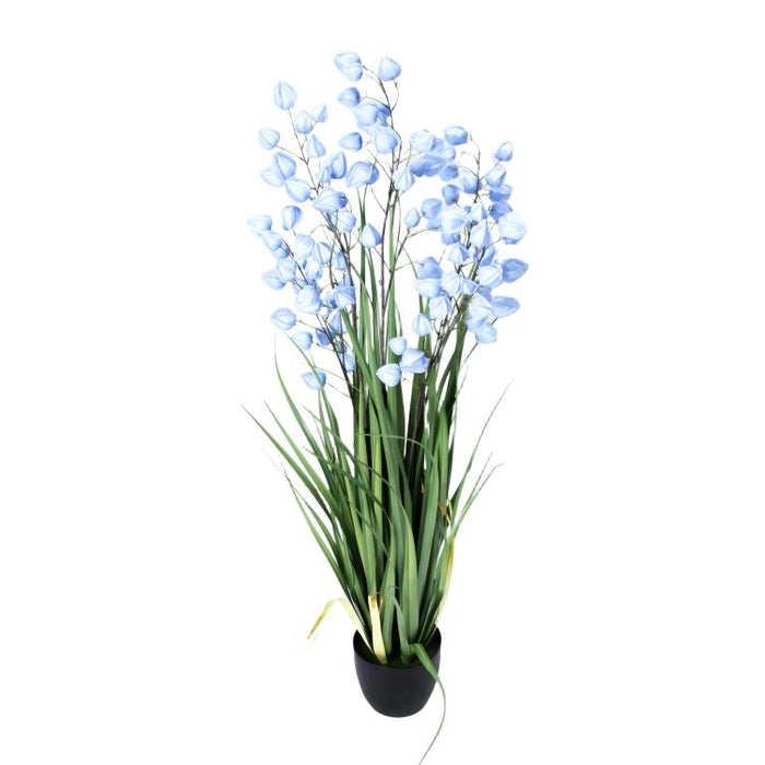 LONGJIN-60" PHYSALIS LIGHT BLUE (413252247)