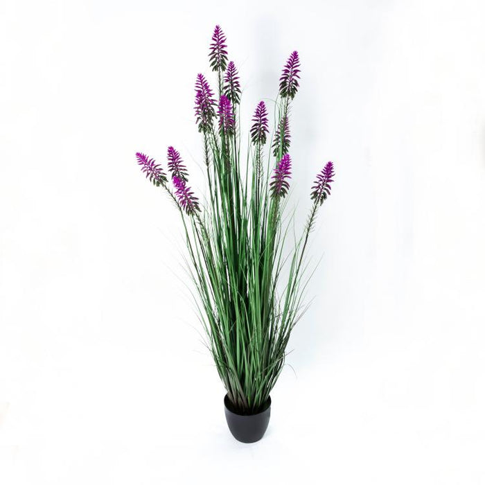 LONGJIN-60" FLOWER GRASS PURPLE (413252235)