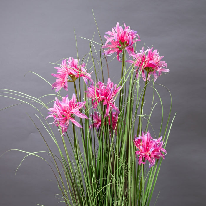 LONGJN-120CM PINK MAGIC LILY GRASS (413252192)