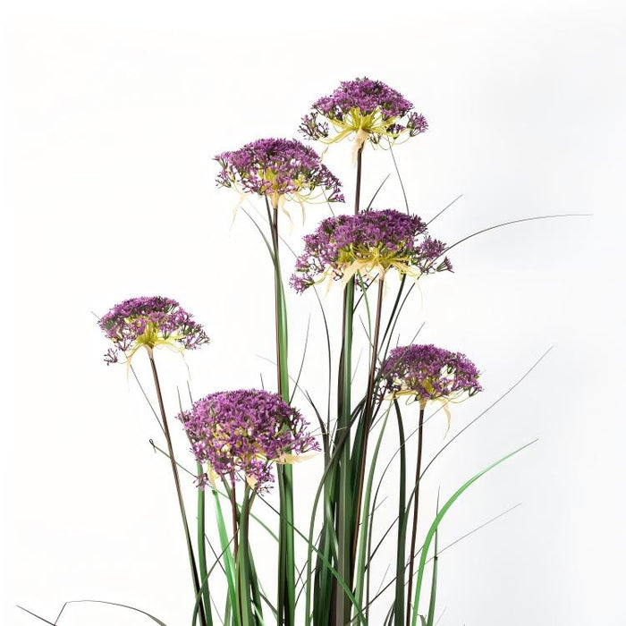 LONGJIN-60" ANGELICA GRASS PURPLE (413252238)