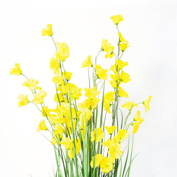 LONGJIN-60" MORNING GLORY YELLOW (413252250)
