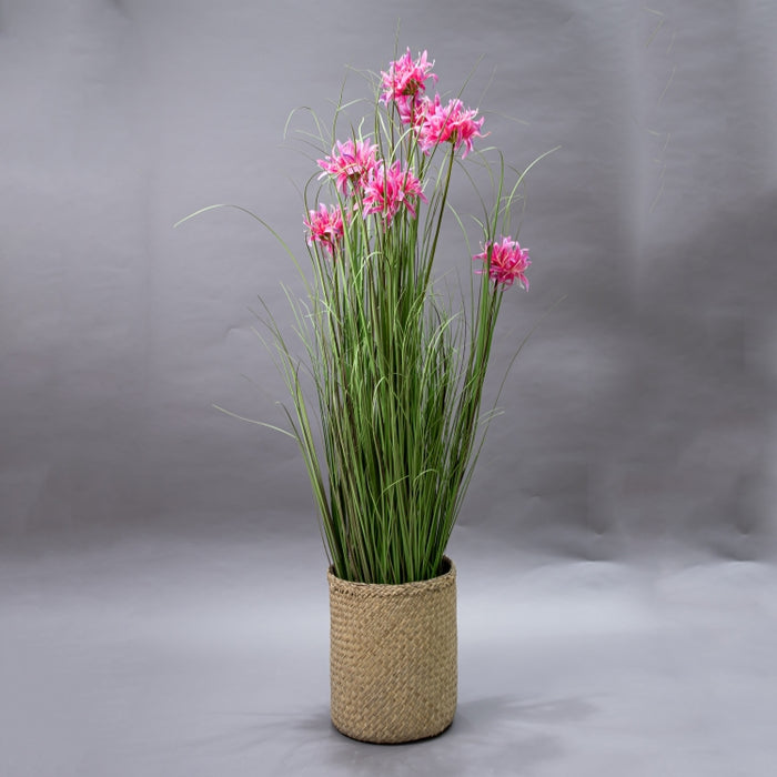 LONGJN-120CM PINK MAGIC LILY GRASS (413252192)