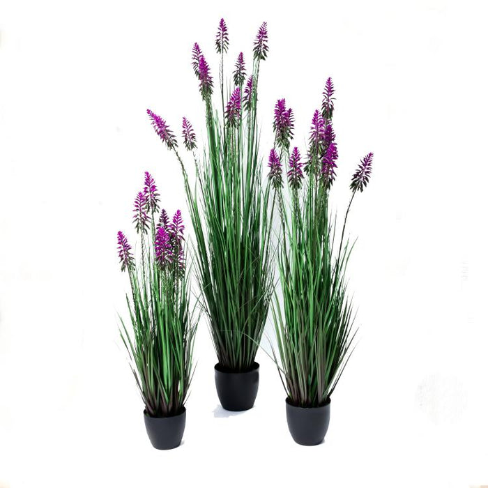 LONGJIN-48" FLOWER GRASS PURPLE (413252234)