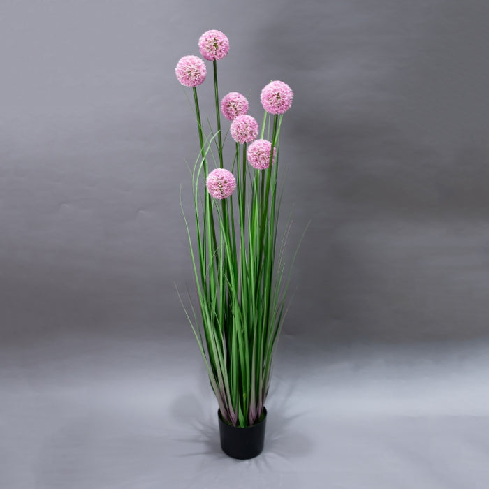 LONGJIN-140CM ALLIUM GRASS PINK (413252195)