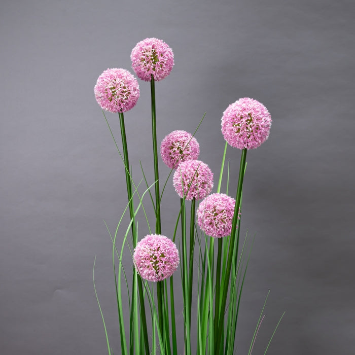 LONGJIN-140CM ALLIUM GRASS PINK (413252195)