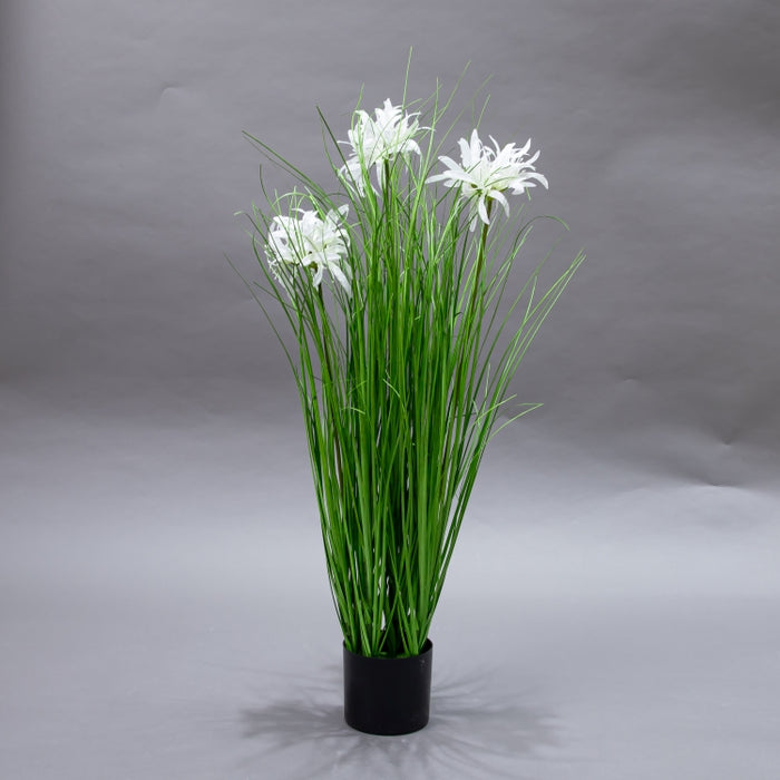LONGJN-70CM WHITE MAGIC LILY GRASS (413252187)