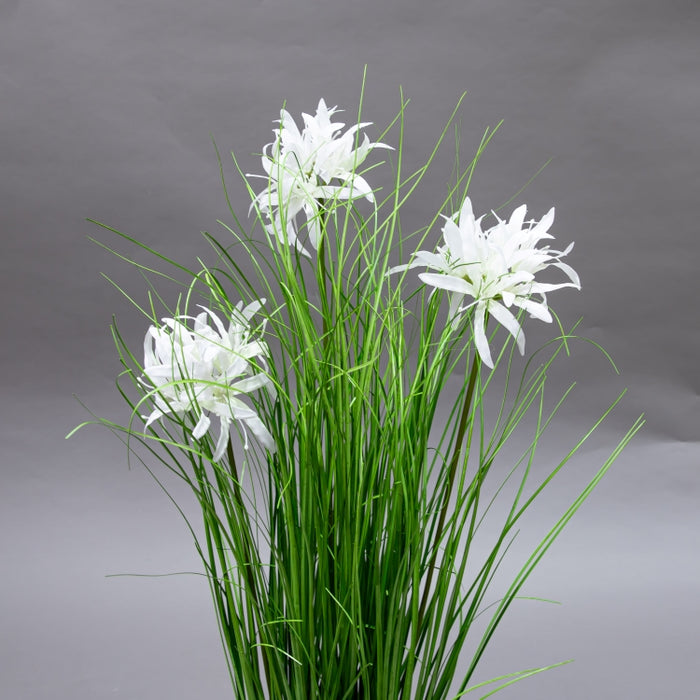 LONGJN-70CM WHITE MAGIC LILY GRASS (413252187)