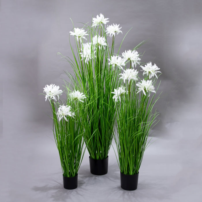 LONGJIN-90CM WHITE MAGIC LILY GRASS (413252188)
