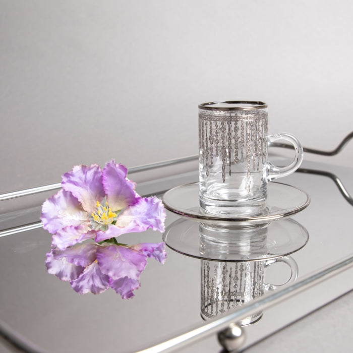 TEACUP&SAUCER SET/6PCS G1261/1P (202016505)