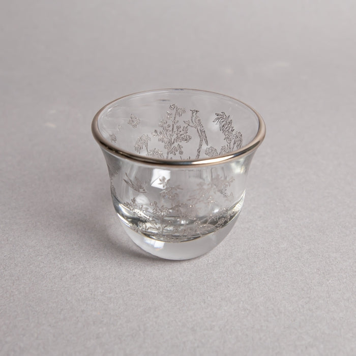 CAWA CUP SET/6PCS PLTNM G1258/1P (202016500)