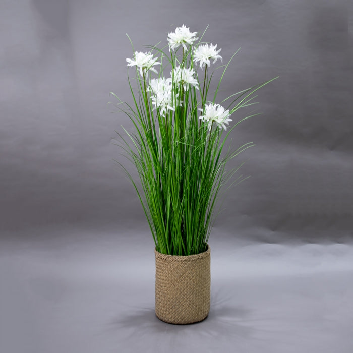 LONGJIN-120CM WHITE MAGIC LILY GRASS (413252189)