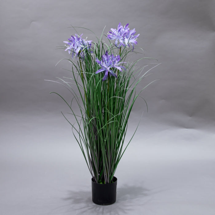 LONGJN-70CM PURPLE MAGIC LILLY GRASS (413252184)