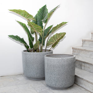 Garden Accessories