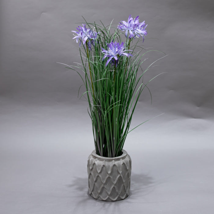 LONGJN-70CM PURPLE MAGIC LILLY GRASS (413252184)